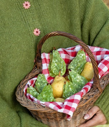Coucou Suzette Pear Hair Claw
